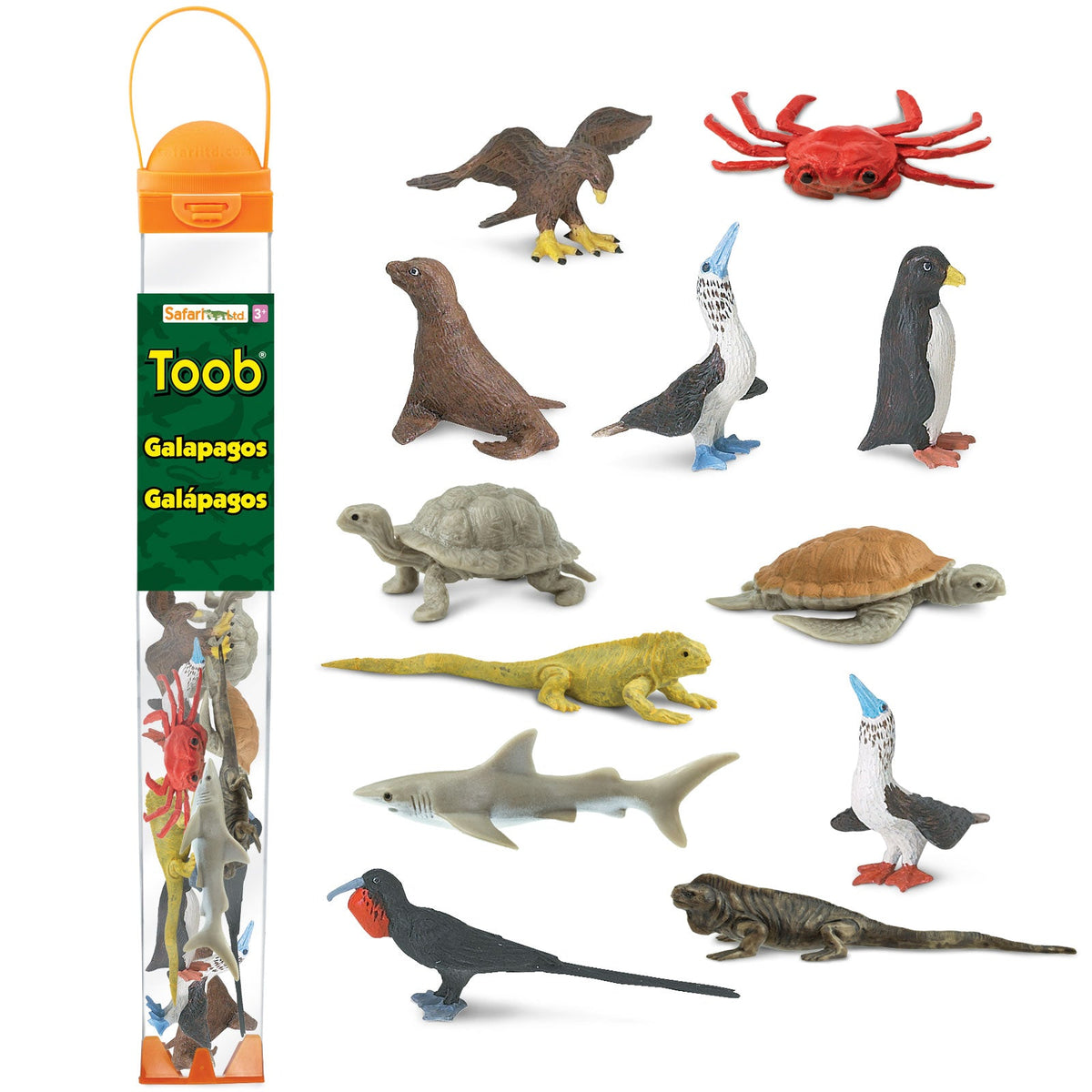Safari Ltd. | Zombies TOOB - 12 Pieces | TOOBs Collection | Miniature Toy  Figurines for Boys & Girls