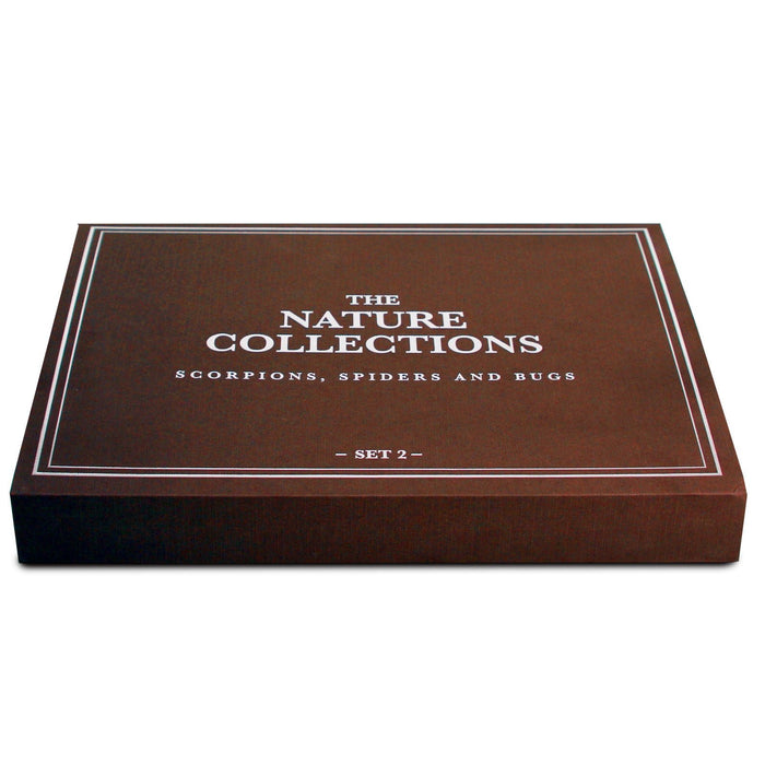 GEOWorld - The Nature Collections - Scorpions, Spiders & Bugs Set #2 - Safari Ltd®