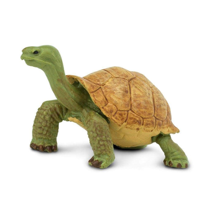 Giant Tortoise Toy | Wildlife Animal Toys | Safari Ltd.