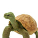 Giant Tortoise Toy | Wildlife Animal Toys | Safari Ltd.