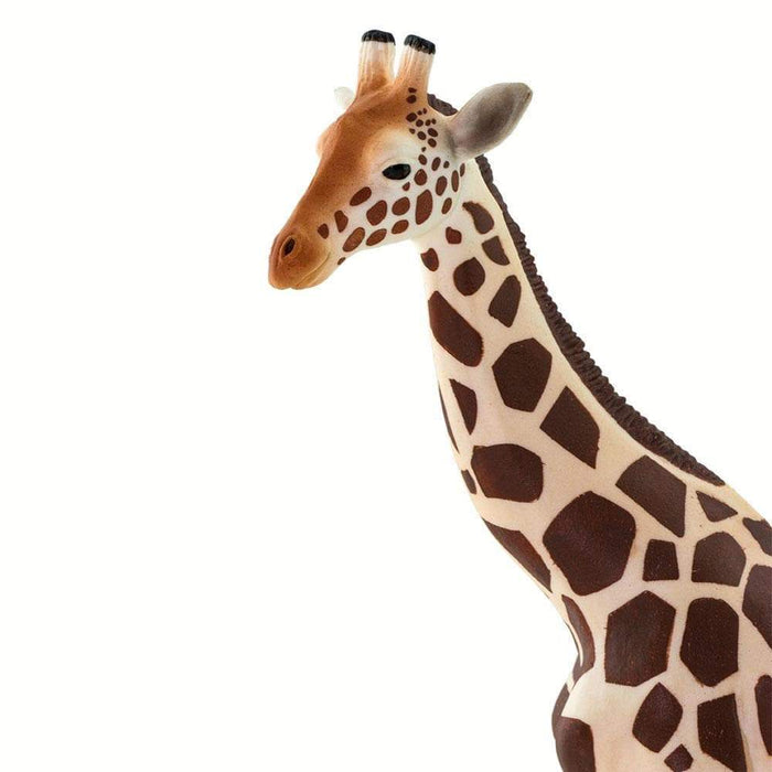 Giraffe - Safari Ltd®