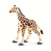Giraffe Baby - Safari Ltd®