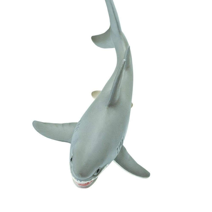Great White Shark Toy - Sea Life Toys by Safari Ltd.