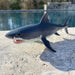 Great White Shark Toy - Safari Ltd®