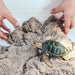 Green Sea Turtle Toy - Safari Ltd®