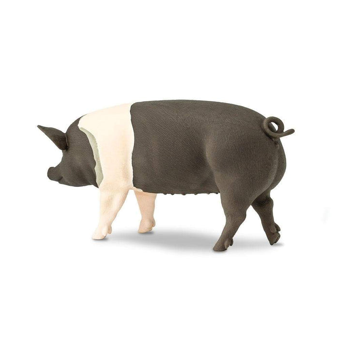 Hampshire Pig - Safari Ltd®
