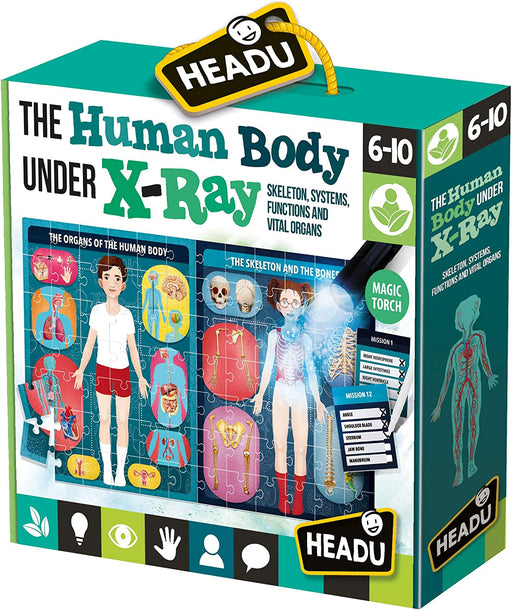 Headu The Human Body Under X-Ray Puzzle - Safari Ltd®