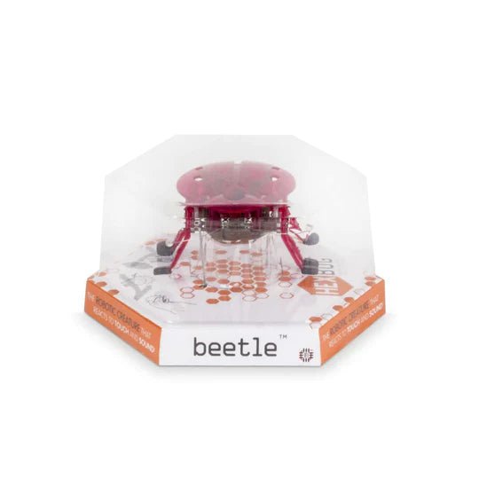 Hex top bugs scarab