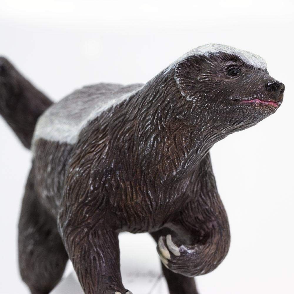 Honey Badger Toy Safari Ltd Safari Ltd