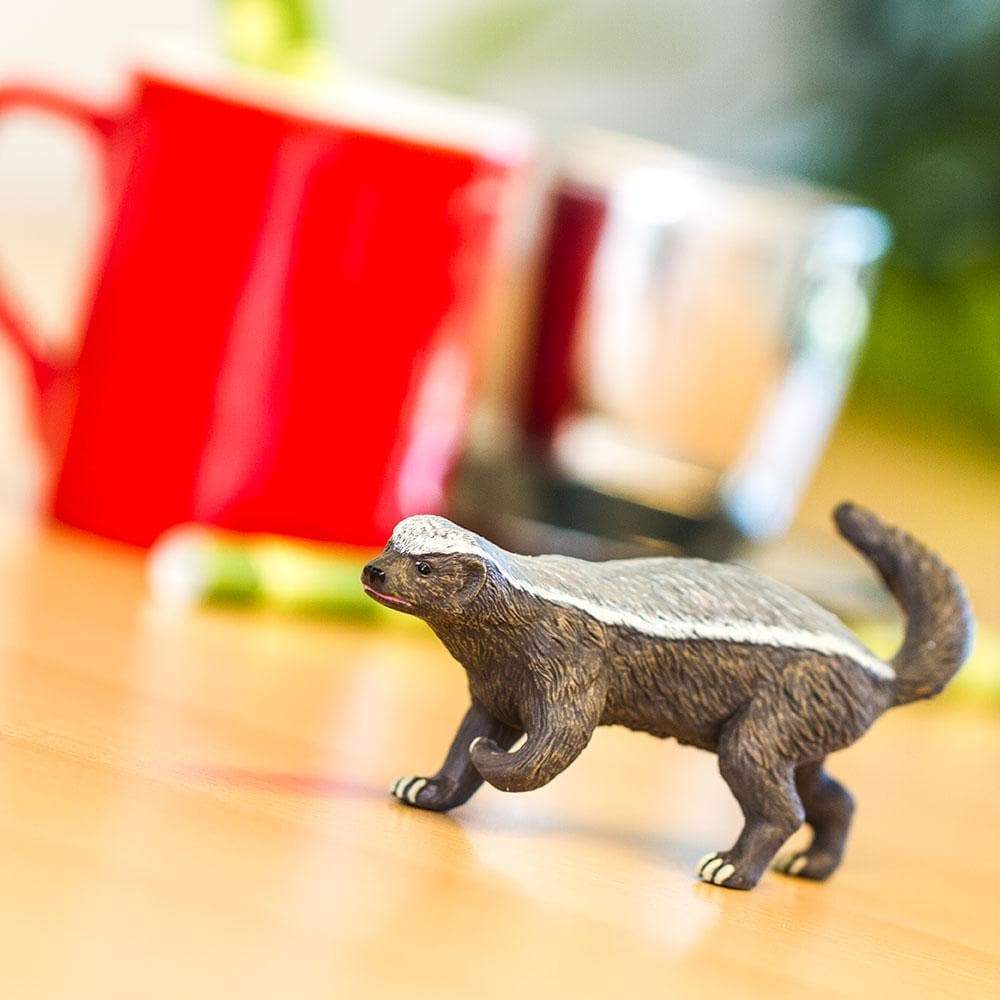 Honey Badger Toy | Safari Ltd®