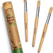 Honeysticks - Jumbo Paintbrush Set - Safari Ltd®