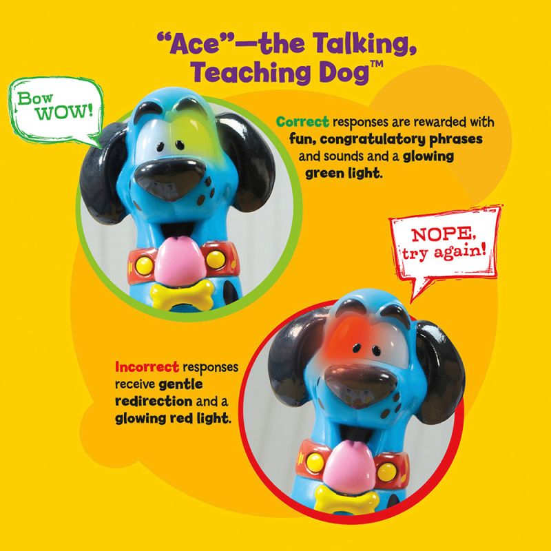 Hot Dots Jr. Let's Master Pre-K Math with Ace Pen | Safari Ltd®