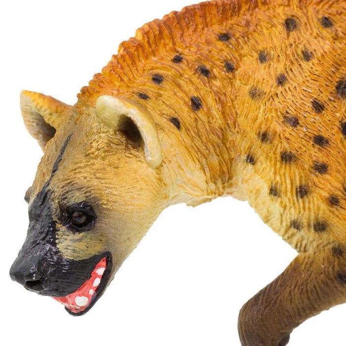 Hyena Toy | Wildlife Animal Toys | Safari Ltd.