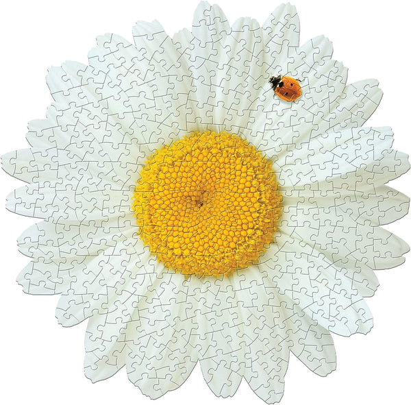 i-am-daisy-350-pc-puzzle-