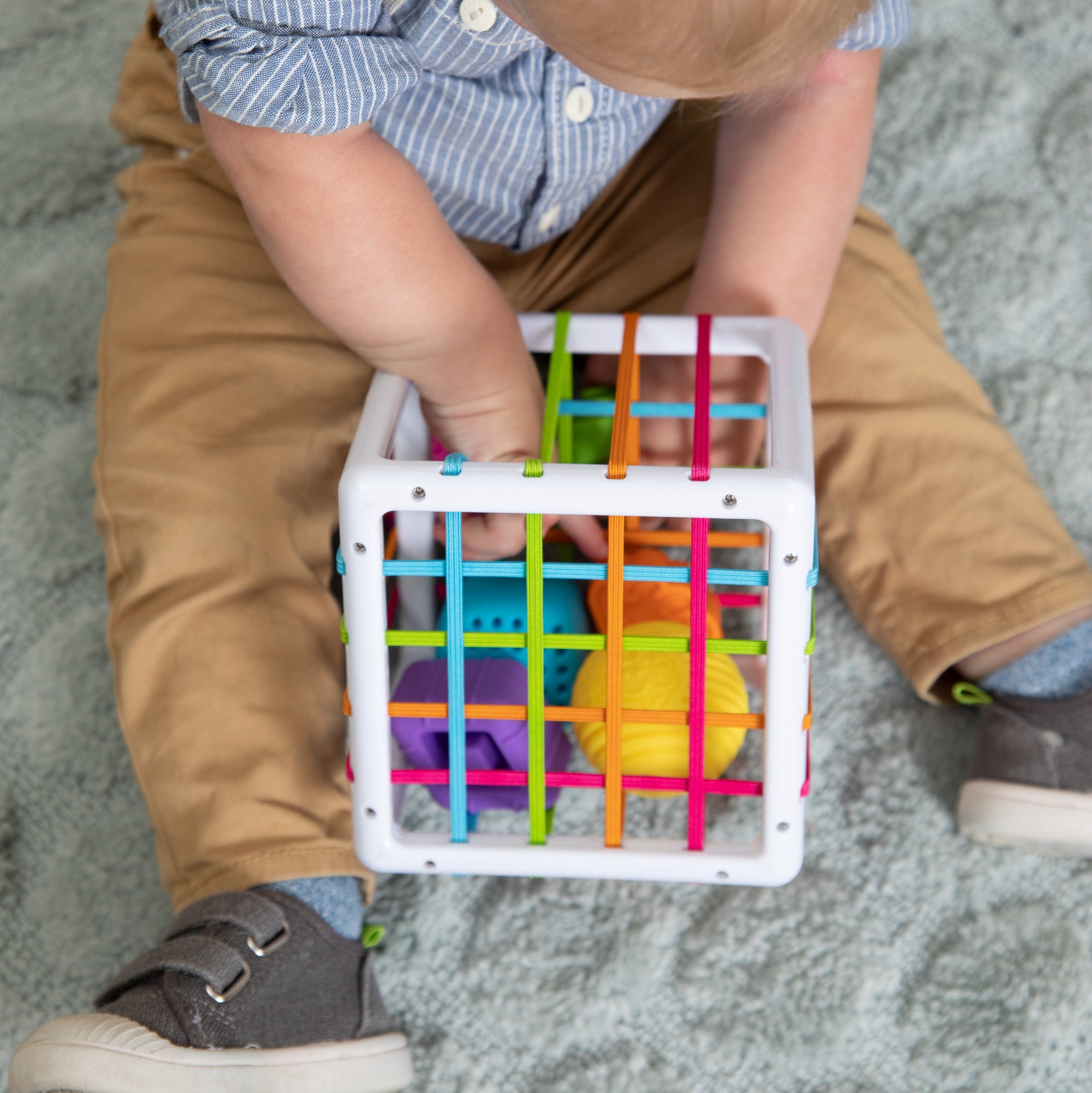 InnyBin Safari Ltd®