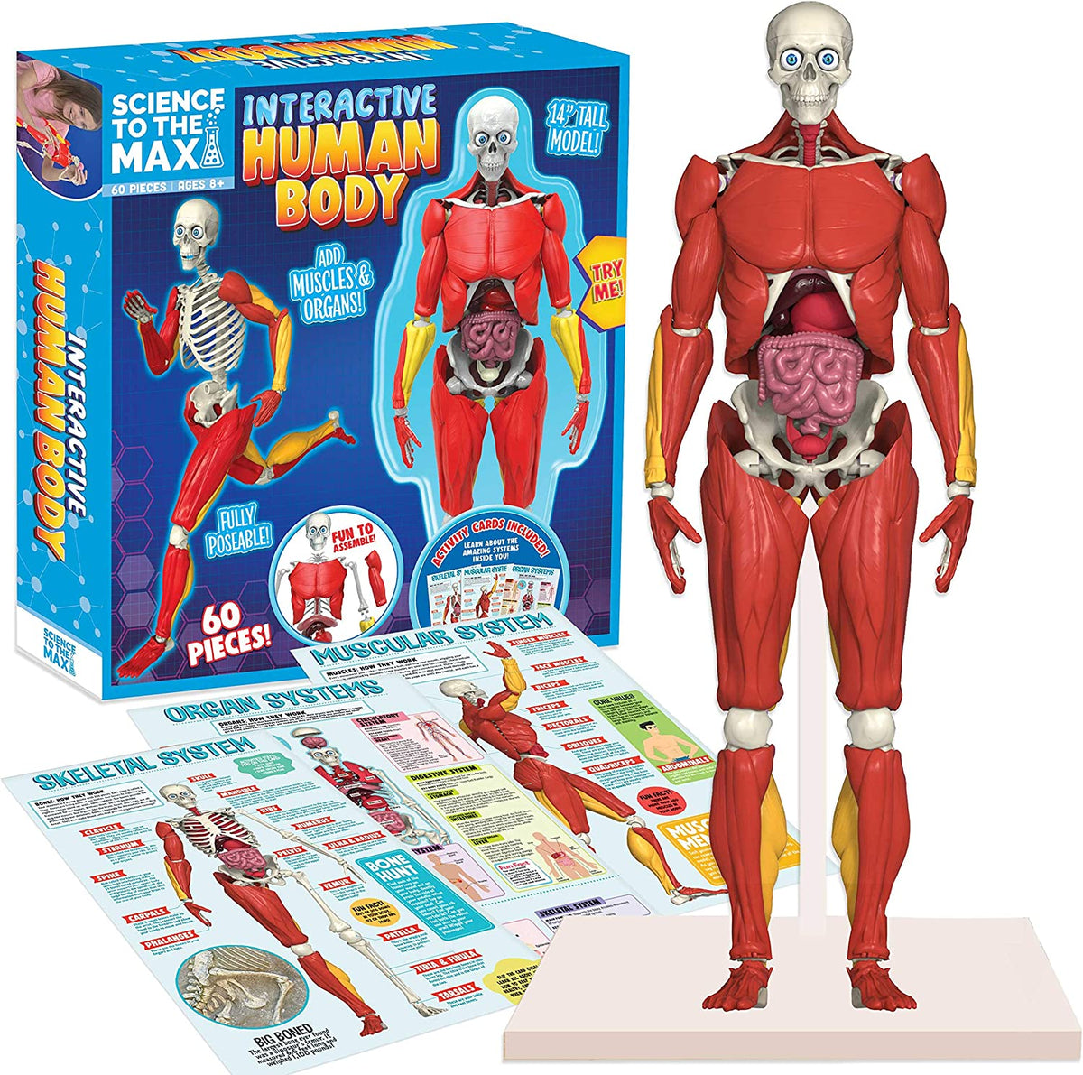 sapientino the human body educational game 4-6 years 11981