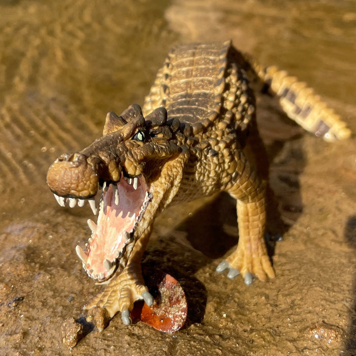Kaprosuchus Toy - Safari Ltd®