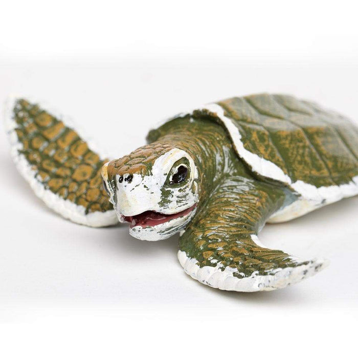 Kemp's Ridley Sea Turtle Baby - Safari Ltd®
