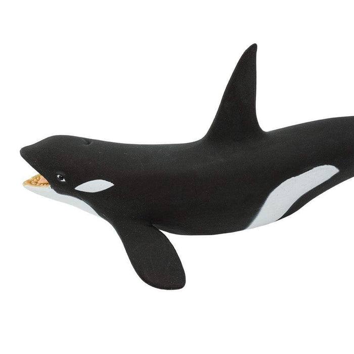 Killer Whale (Orca) Toy - Sea Life Toys by Safari Ltd.