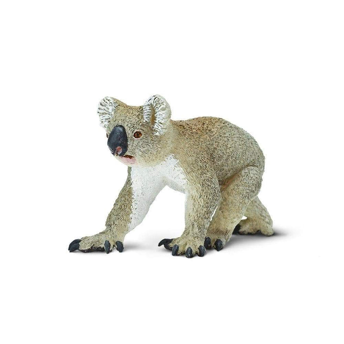 Koala Toy | Wildlife Animal Toys | Safari Ltd.