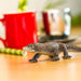 Komodo Dragon Toy | Wildlife Animal Toys | Safari Ltd.