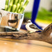 Kookaburra Toy | Wildlife Animal Toys | Safari Ltd.