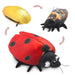 Ladybug Life Cycle Stuffed Animal Puppet - Safari Ltd®