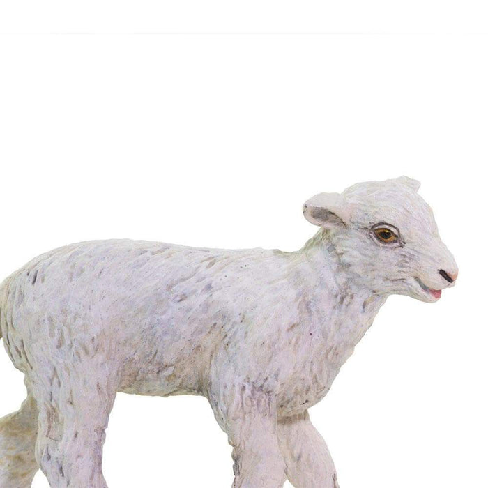 Lamb - Safari Ltd®