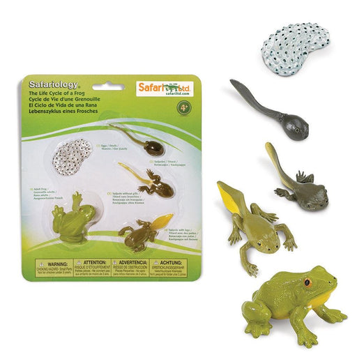Safari Ltd. Axolotl (#104650) Incredible Creature Toy Figure