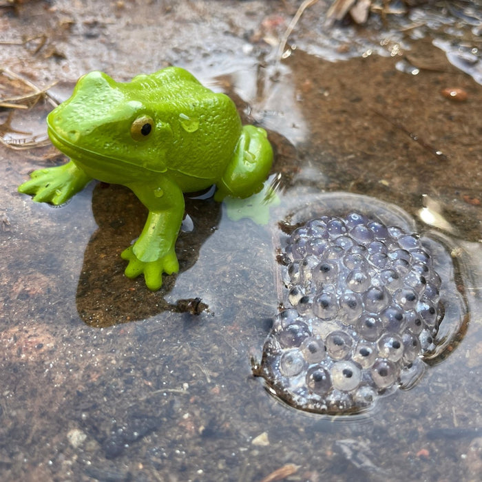 Life Cycle of a Frog - Safari Ltd®