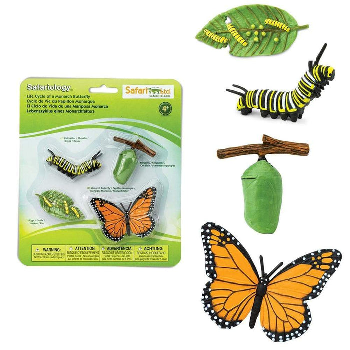 Life Cycle of a Monarch Butterfly - Safari Ltd®