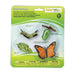 Life Cycle of a Monarch Butterfly | Montessori Toys | Safari Ltd.