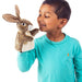 Little Hare Little Puppet - Safari Ltd®