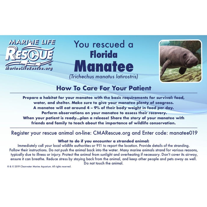Manatee in Rescue Stretcher - Safari Ltd®