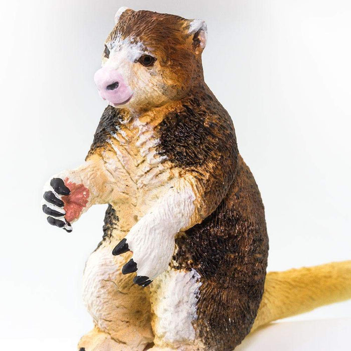 Matschie's Tree Kangaroo Toy - Safari Ltd®