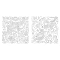 Millie Marotta Wildlife Wonders Coloring Book - Safari Ltd®