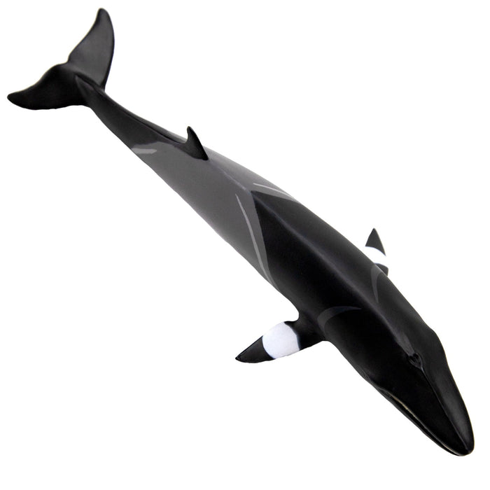 Minke Whale Sea Life Toy Figure - Safari Ltd®