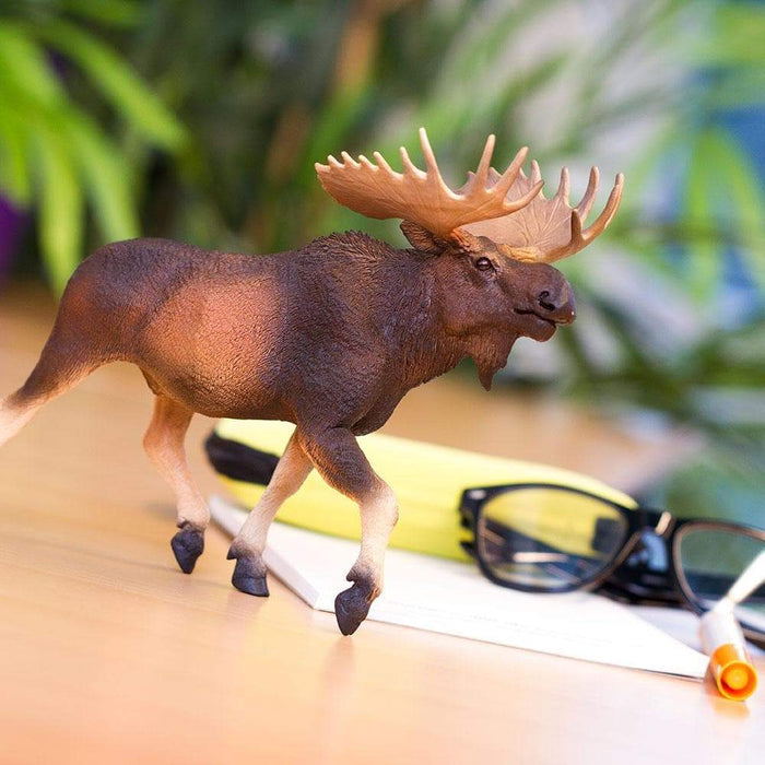 Moose Toy | Wildlife Animal Toys | Safari Ltd.