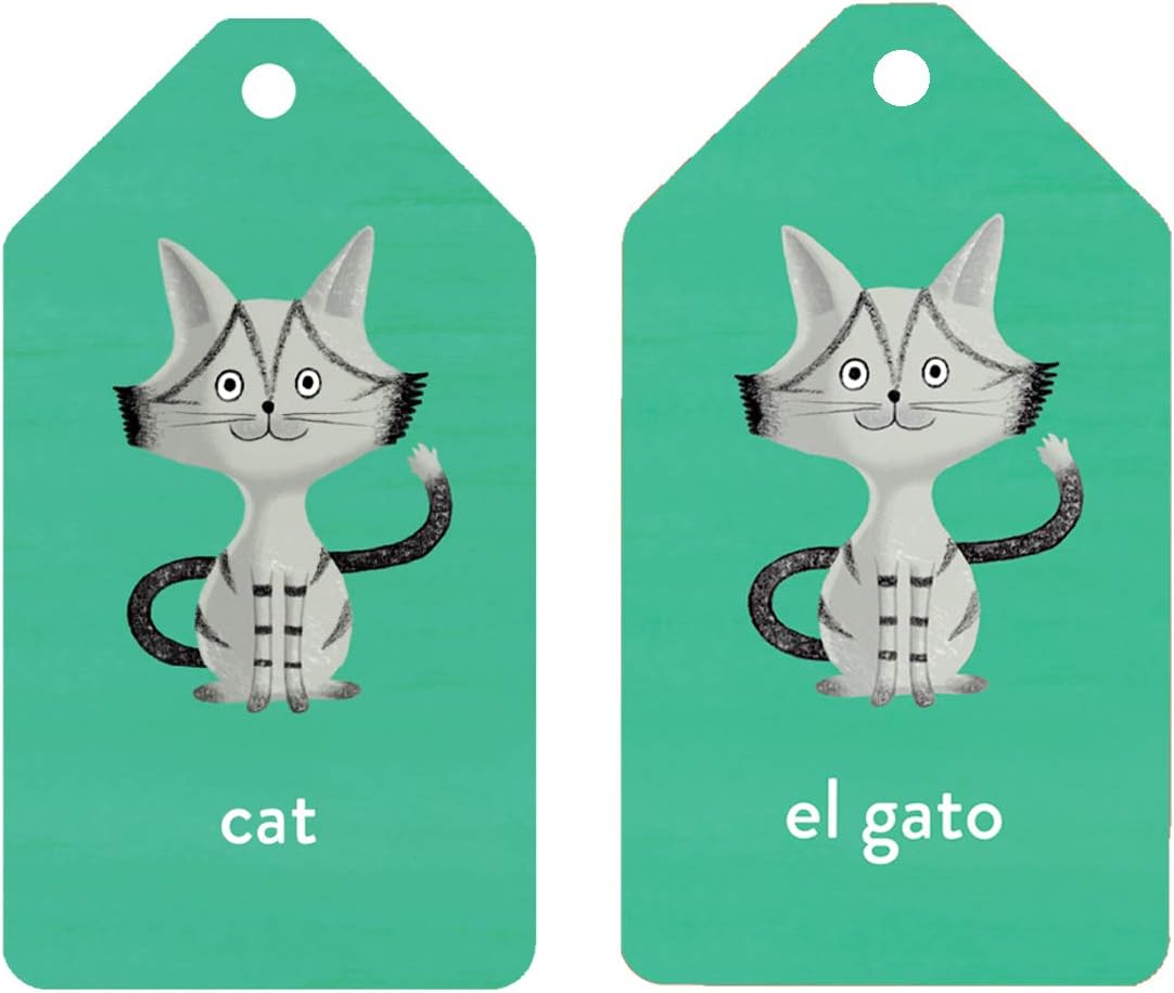 Mudpuppy Spanish to English Ring Flash Cards - Safari Ltd®