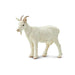 Nanny Goat - Safari Ltd®