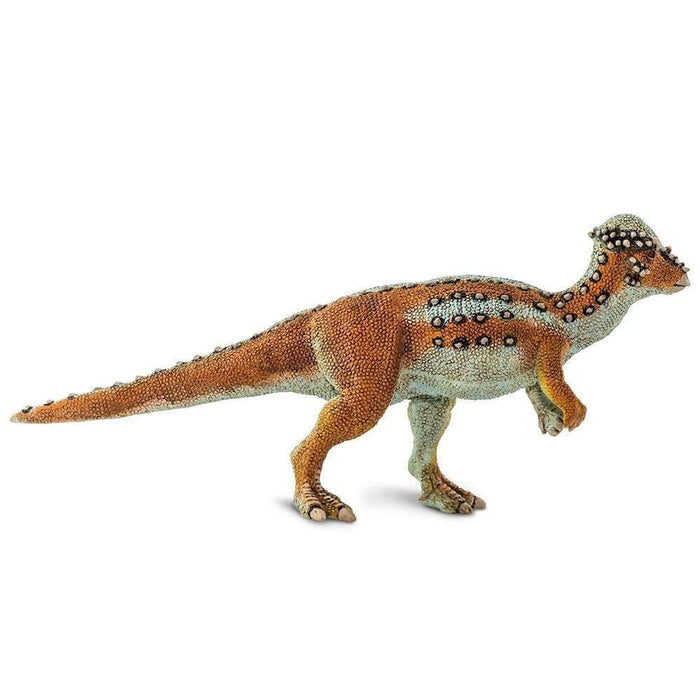 Pachycephalosaurus Toy | Dinosaur Toys | Safari Ltd.