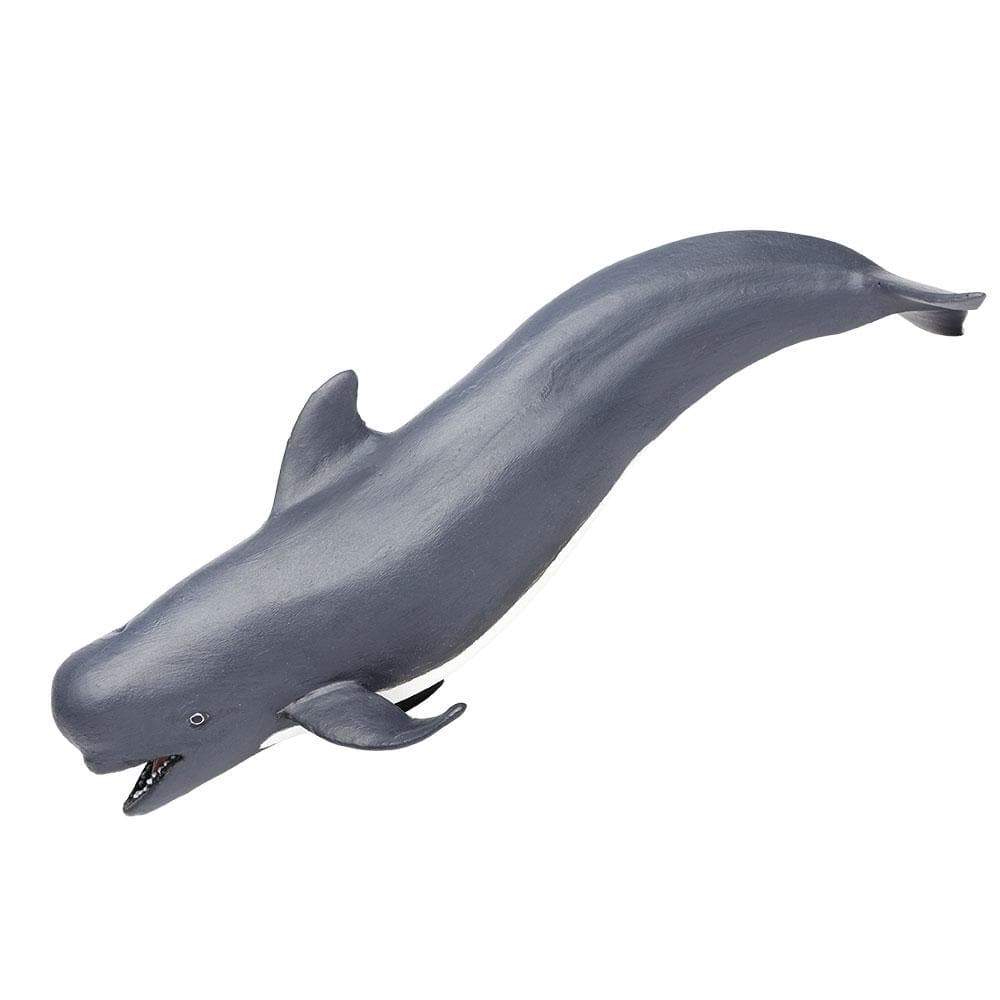 Pilot Whale Toy | Safari Ltd®