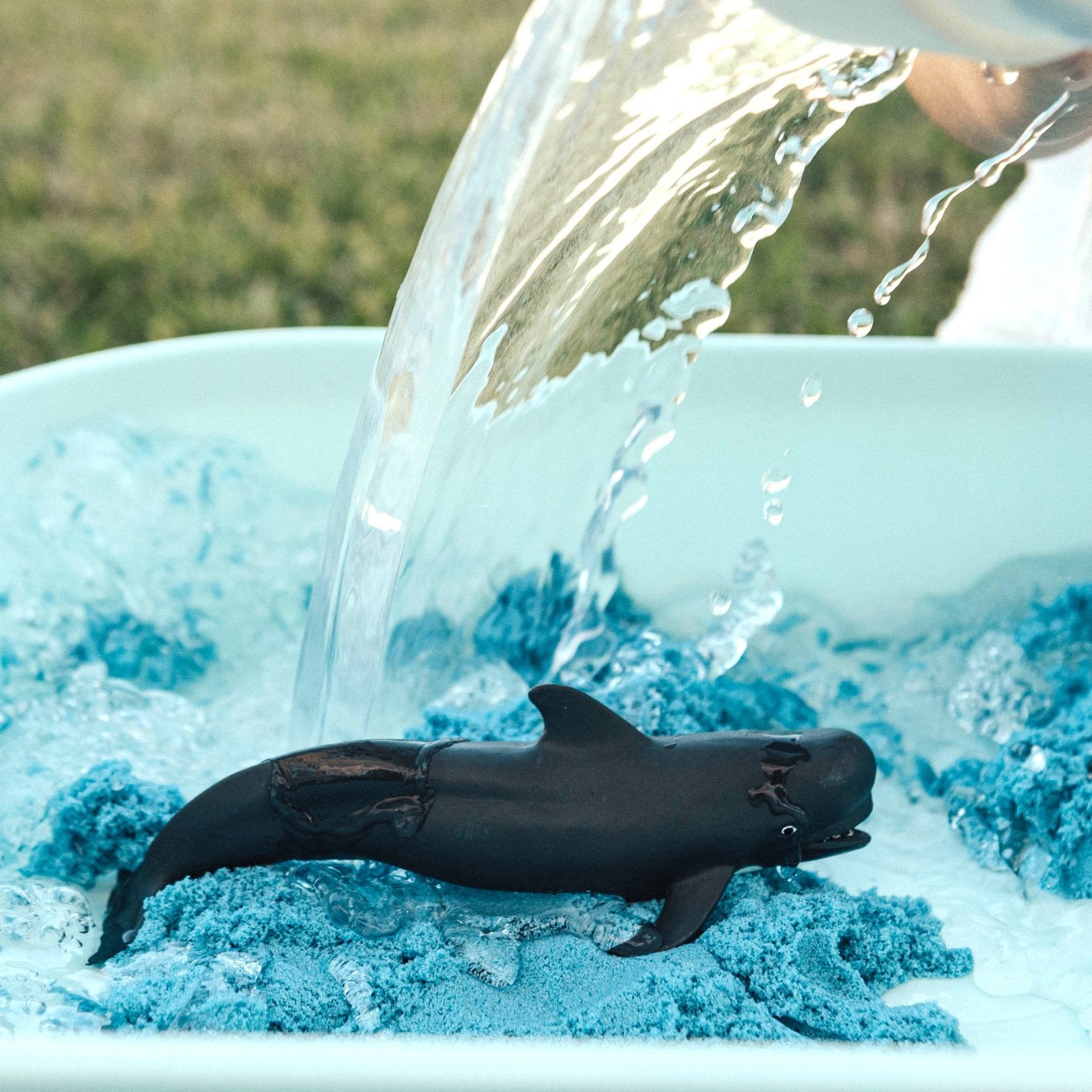 Pilot Whale Toy | Sea Life Toys | Safari Ltd®