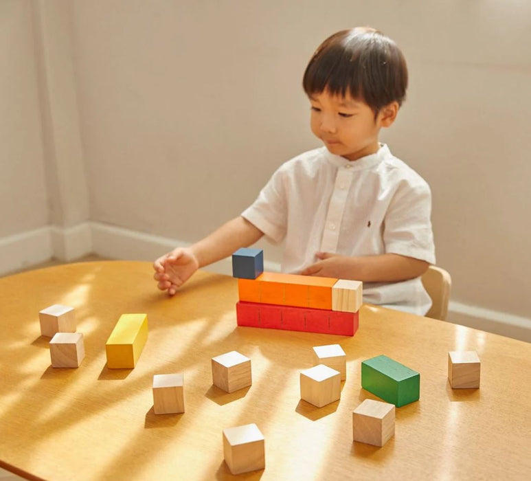 Plan Toys Colored Counting Blocks - Safari Ltd®