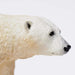 Polar Bear - Safari Ltd®
