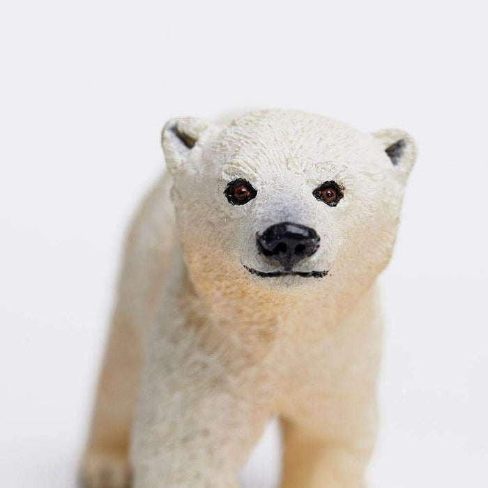 Polar Bear Cub Toy - Sea Life Toys by Safari Ltd.