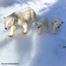 Polar Bear Cub Toy - Safari Ltd®