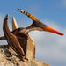 Pteranodon - Safari Ltd®