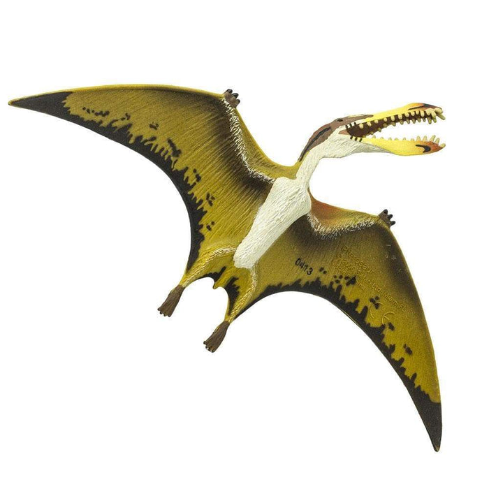Pterosaur Toy | Dinosaur Toys | Safari Ltd.