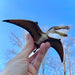 Pterosaur Toy - Safari Ltd®